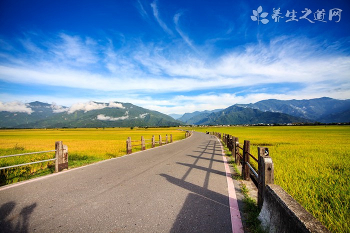 跟着人民币去旅行