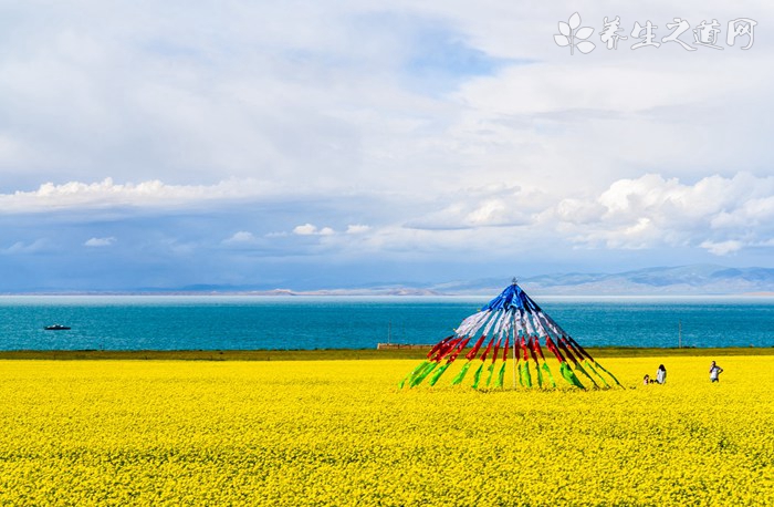 西班牙蒙锥克城堡 巴塞罗那全景拍摄地的不二之选