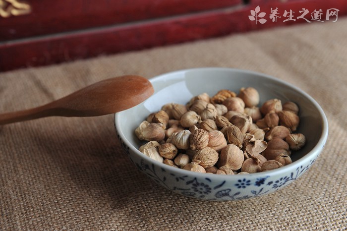 三叉苦的功效与作用_中医养生_养生之道网