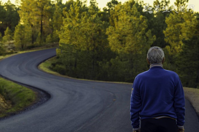 罗汉果直接泡水喝可以减肥吗