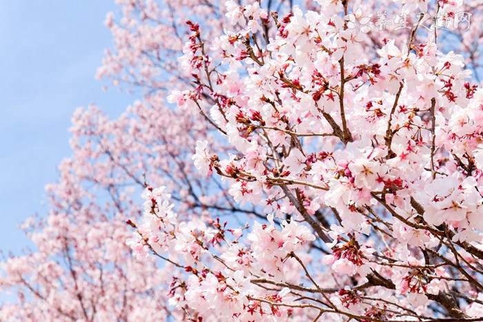 农历七月初七是几号