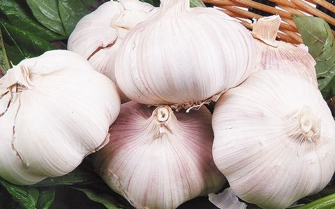 大蒜 调味品 食材大全 食材 养生之道网