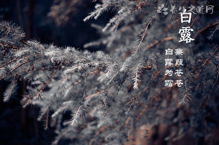 春分竖蛋的历史由来