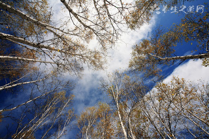 武陵山花园环道哪里最好玩_武陵山花园环道有