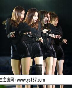 韩国女团_韩国女团收入(3)