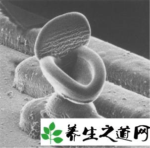 世界上最小的距离单位:普朗克长度被称为上帝