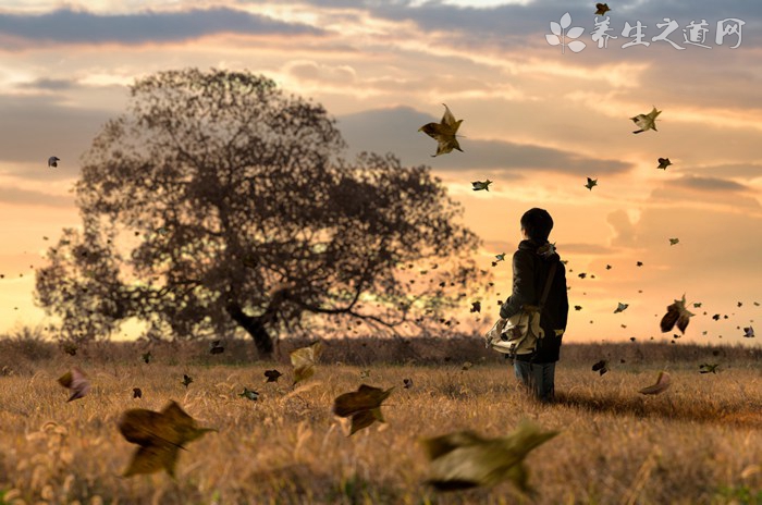 打坐坐拥养心金字塔